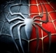 L'avatar di spider87