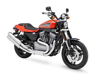 Clicca sull'immagine per ingrandirla

Nome:   2010-Harley-Davidson-XR1200b-small.jpg
Visite: 534
Dimensione:   43.2 KB
ID: 15899